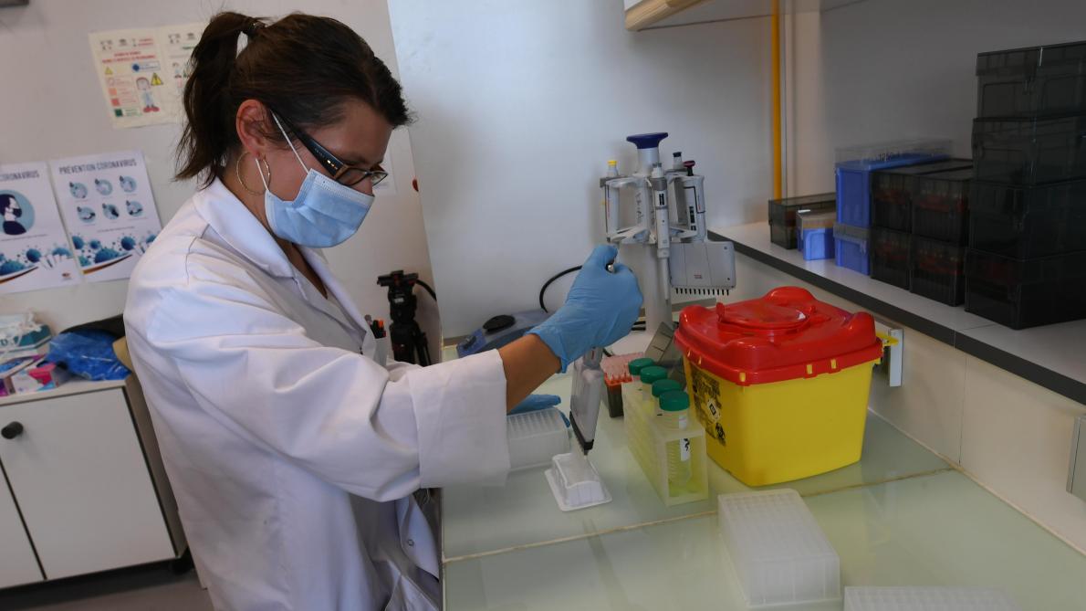 Sante Coronavirus Et Recherche Progressent Dans La Region