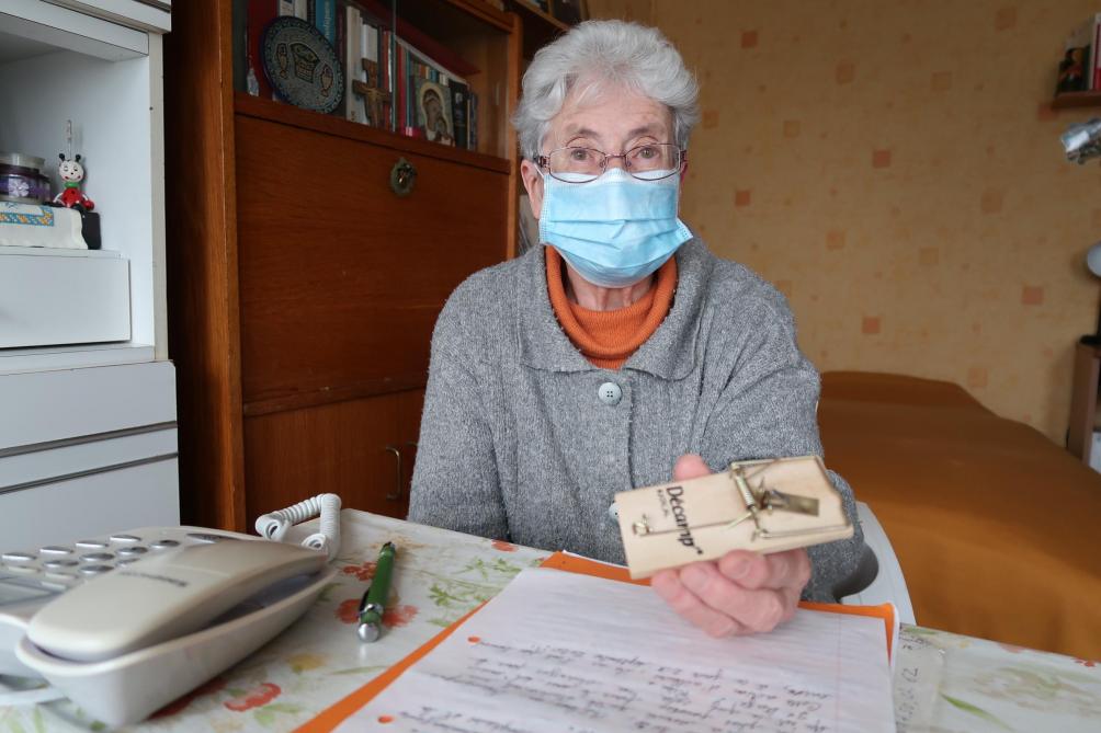 Une Invasion De Souris Dans Des Appartements A Chalons