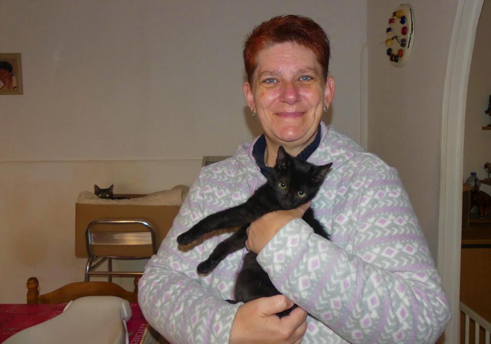 A Montcornet Elle Oeuvre Pourle Bien Etre Des Chats A Montcornet Elle Oeuvre Pourle Bien Etre Des Chats