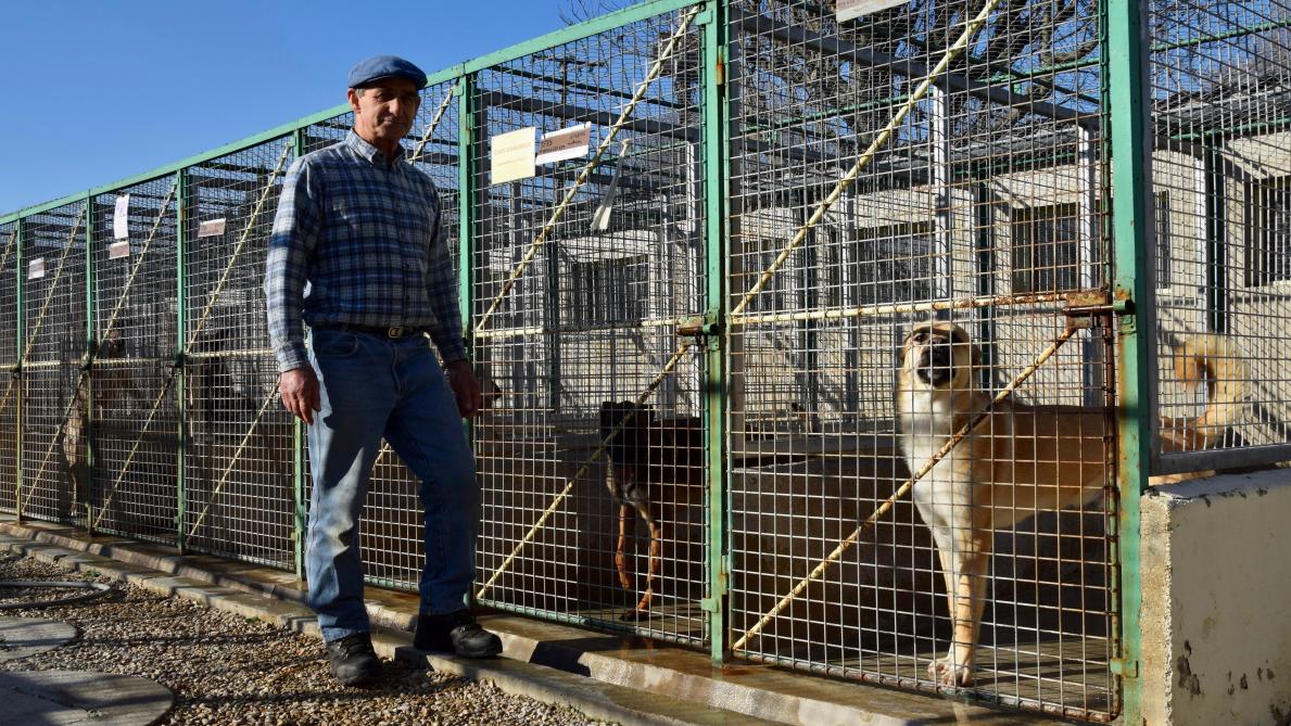 La cagnotte pour aider le refuge pour animaux de Fagnières