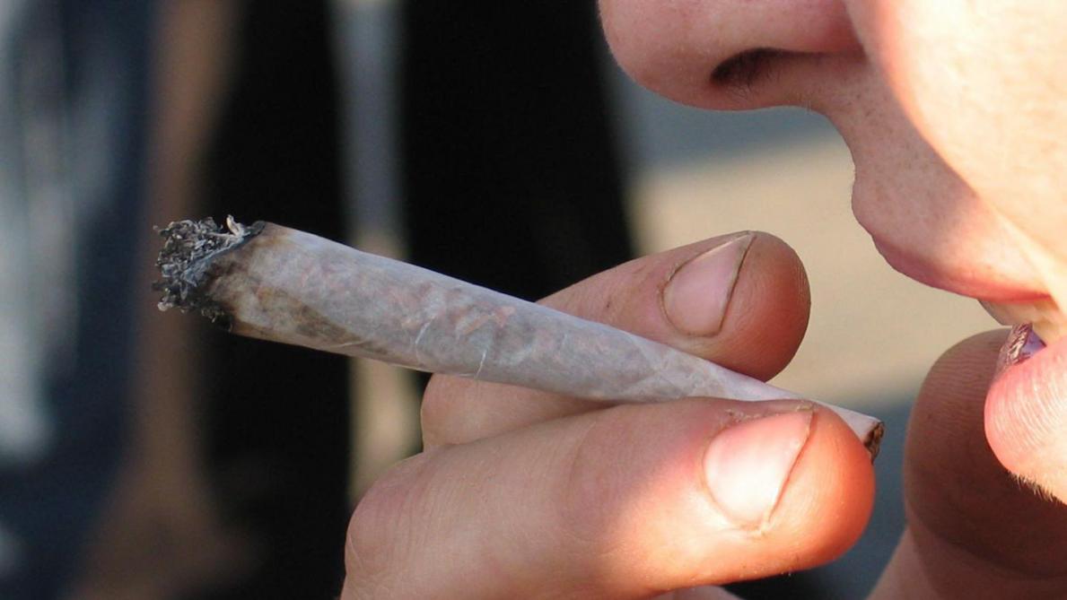 Un Trafiquant De Drogue En Herbe Condamne Au Tribunal De Reims
