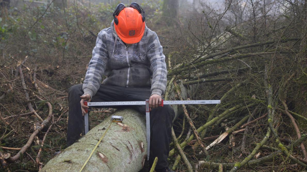 PHOTOS. Les Mazures : « Face au scolyte, notre défi est d ...