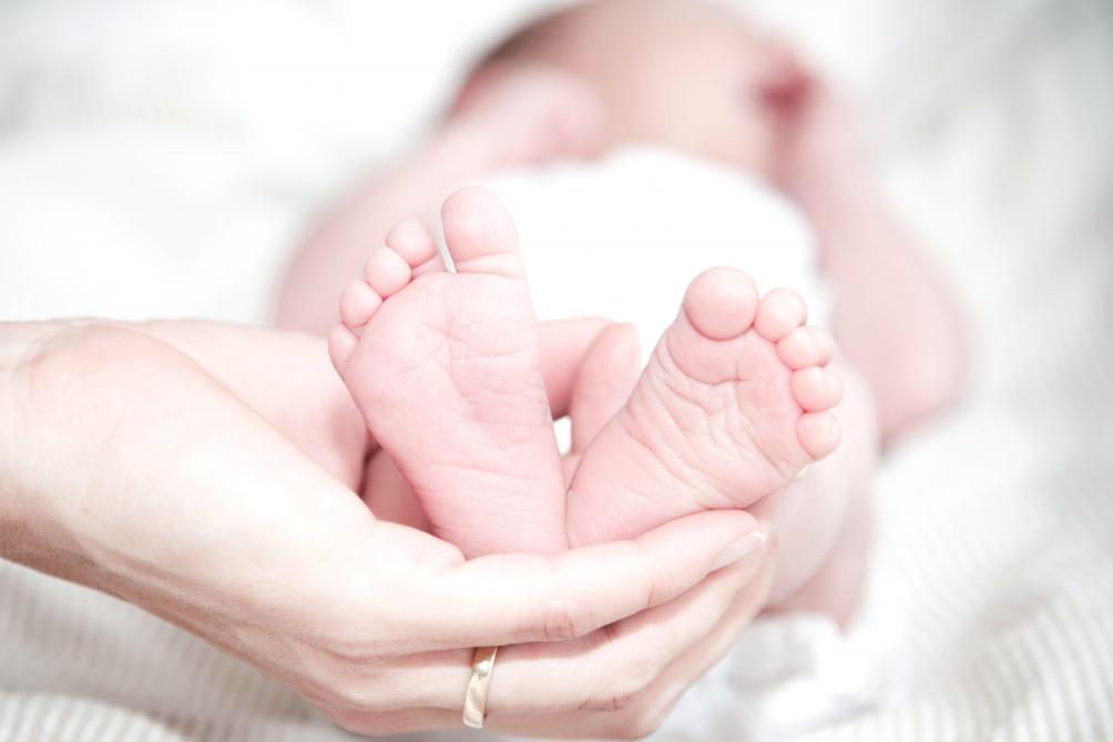 A Reims Les Premiers Bebes Du Confinement Ne Se Bousculent Pas