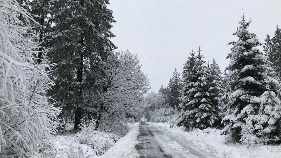 Video Le Nord Des Ardennes Sous La Neige Ce 31 Decembre