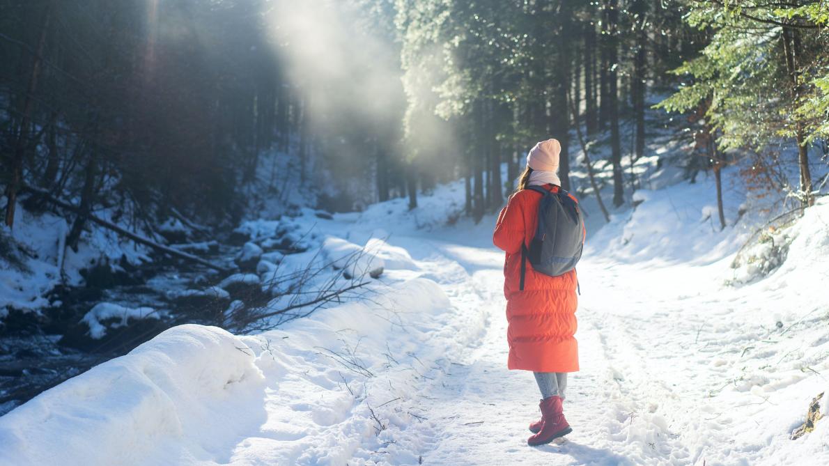 Voici Comment Profiter De La Neige Ce Week End Dans Les Ardennes Belges