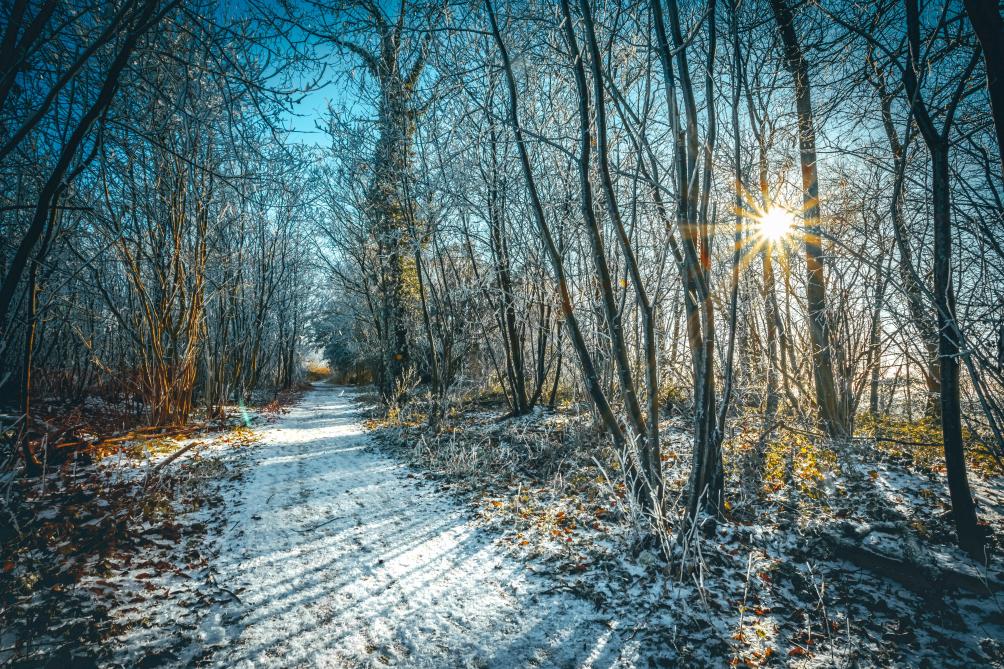 meteo une belle journee d hiver ce mercredi dans l aisne la marne et les ardennes