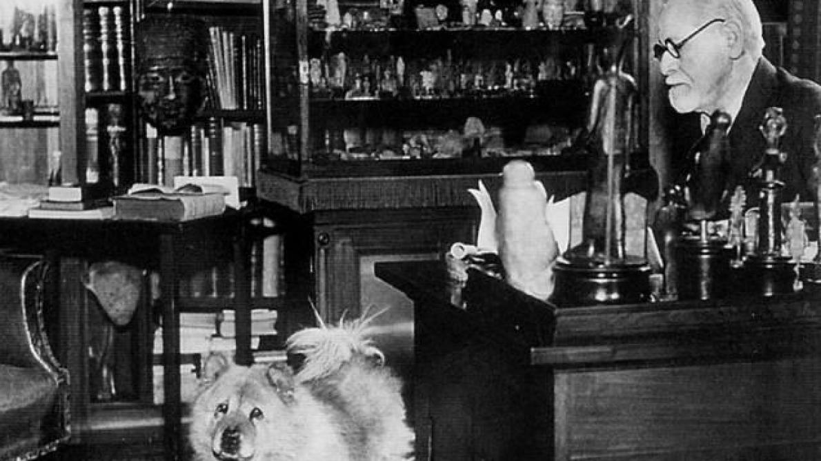 Il n'y a pas de mal à aimer son animal... même Sigmund Freud le dit