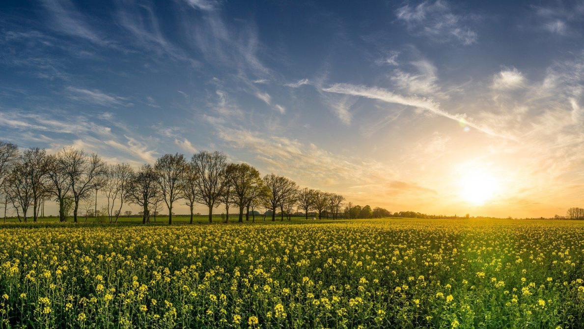 Meteo Soleil Et Fraicheur Dans La Marne L Aisne Et Les Ardennes Meteo Soleil Et Fraicheur Dans La Marne L Aisne Et Les Ardennes