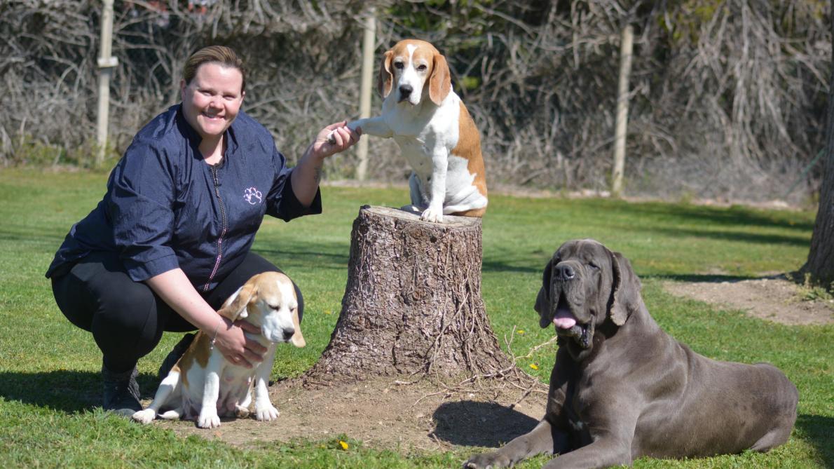 Un Nouveau Salon De Toilettage Pour Chiens Et Chats Ouvre A Brienne Le Chateau Un Nouveau Salon De Toilettage Pour Chiens Et Chats Ouvre A Brienne Le Chateau