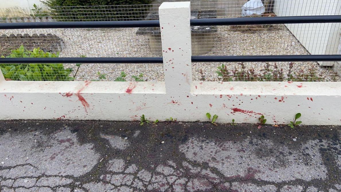 Un Chat Ecrase Relance Le Debat Sur La Securite Rue Du Grand Parc A Vitry Le Francois