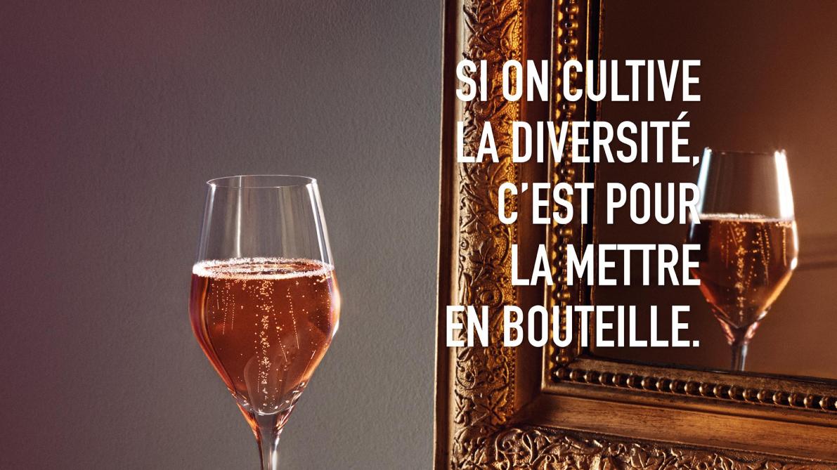 Une Nouvelle Campagne De Communication Basee Sur La Diversite Pour Le Syndicat Des Vignerons Une Nouvelle Campagne De Communication Basee Sur La Diversite Pour Le Syndicat Des Vignerons