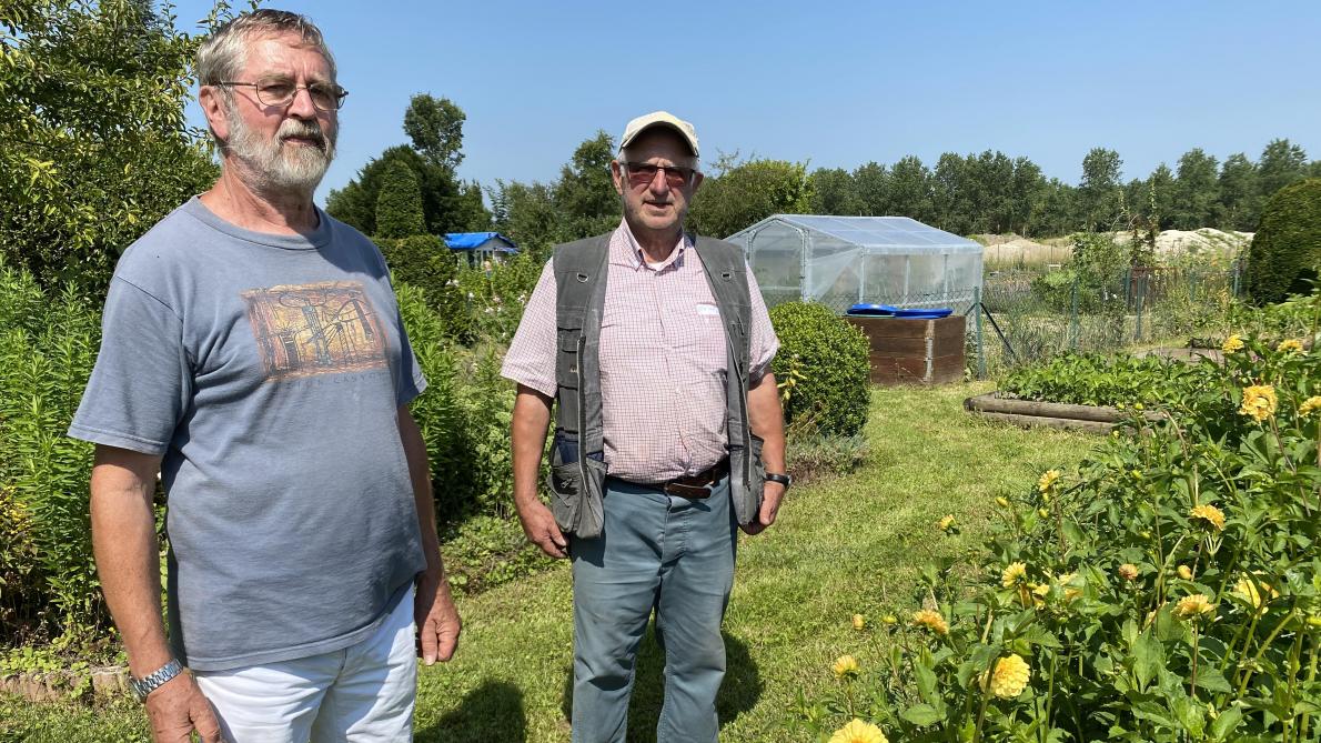 dans-les-jardins-familiaux-de-saint-brice-courcelles-on-a-l
