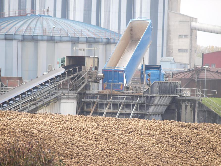 Demarrage De La Campagne Et Chaleur Font Monter Les Odeurs A La Sucrerie De Bucy Le Long