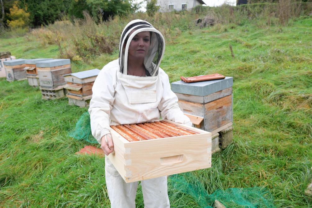 Miel : Les apiculteurs français alertent sur la récolte divisée
