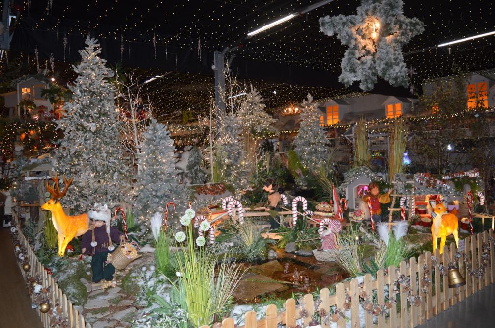 Le marché de Noël a débuté chez Floralie’s Garden à Bétheny