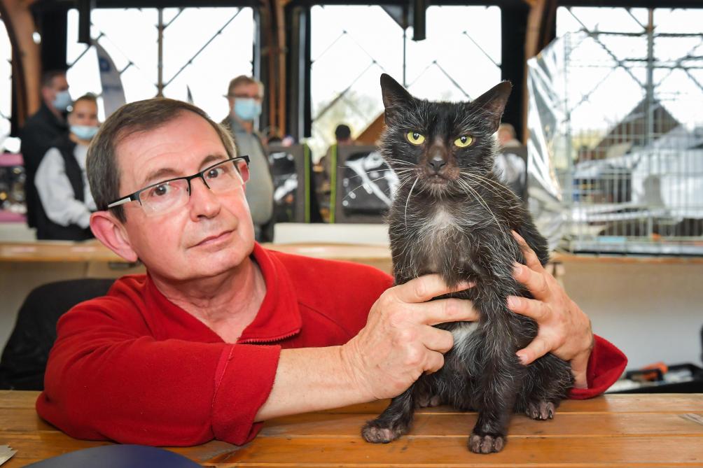 Photos Videos A Charleville Mezieres Les Chats Affolent Le Chaland