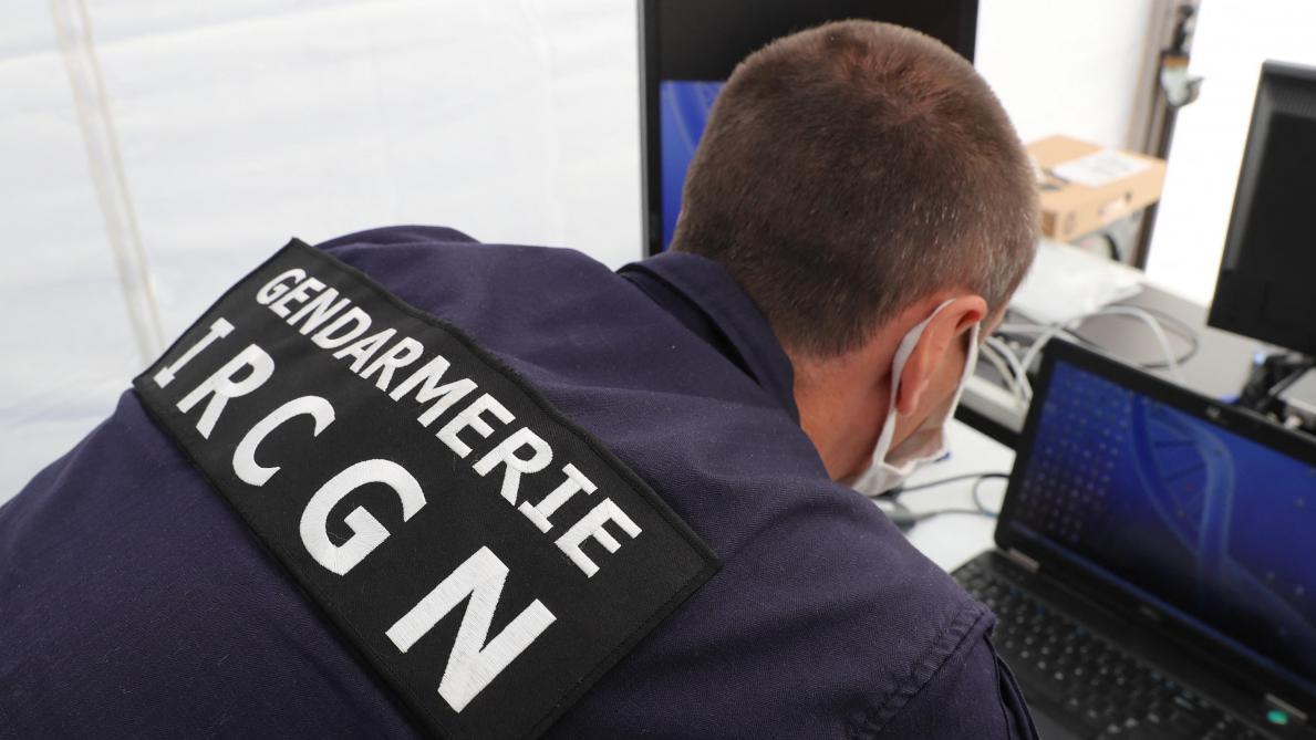 Vingt-neuf fusils, un pistolet à plomb et près de 500 cartouches de différents calibres ont été découverts.