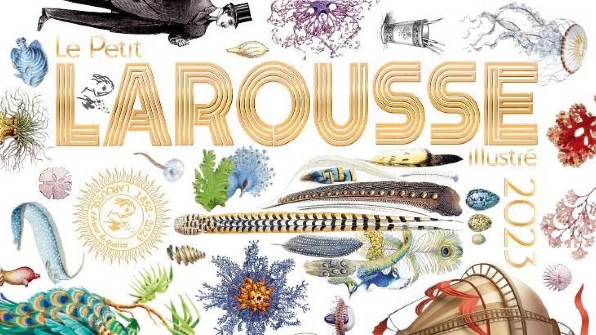 Monchû, poké, fanart… Les éditions Larousse dévoilent les nouveaux mots de  leur dictionnaire illustré de 2023