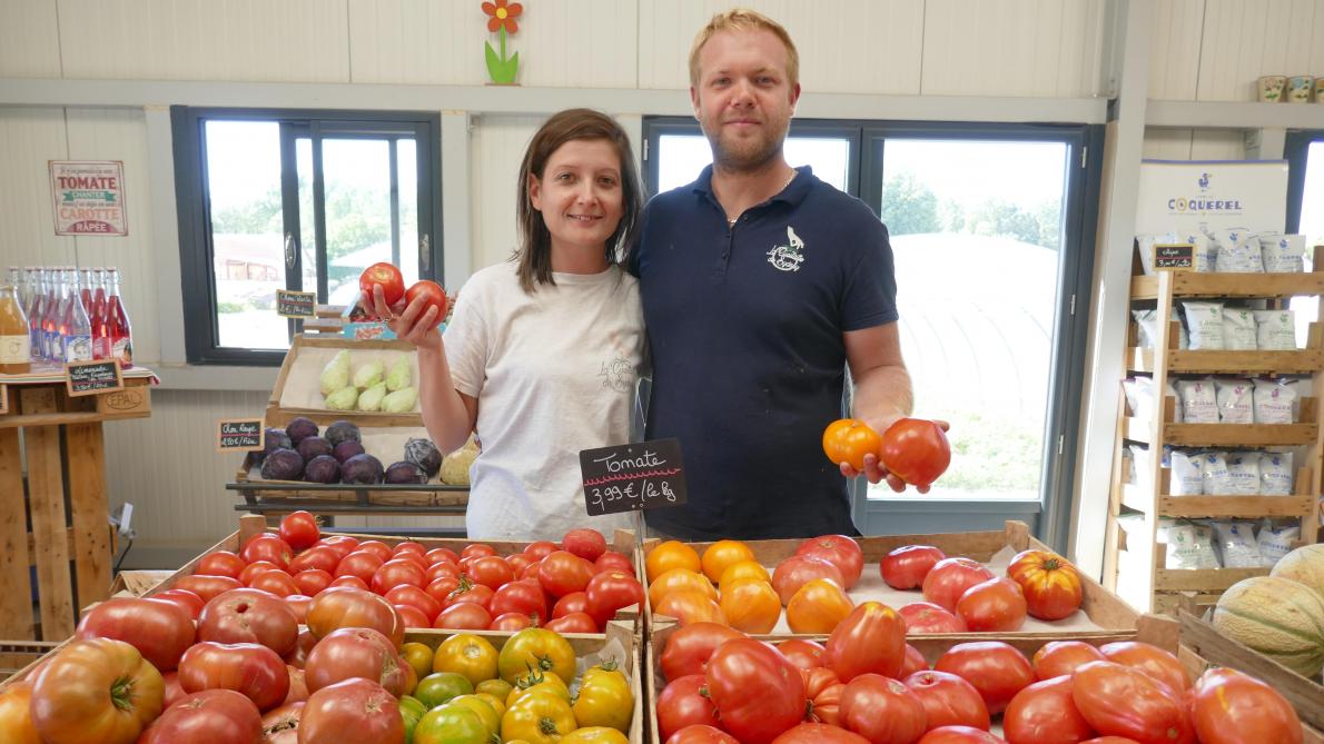 500 G De Tomates Combien De Tomates Circuit court ou supermarché: combien coûte la tomate dans le Rethélois?