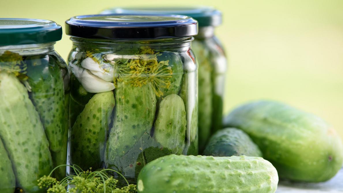 the pickle, a product that could experience a shortage in the coming