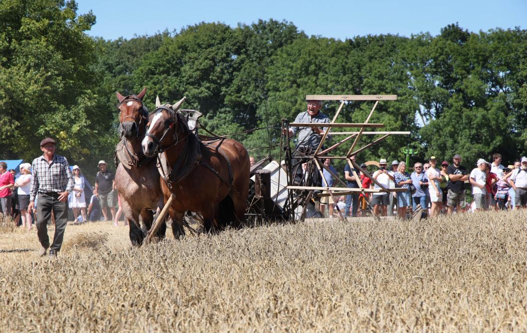 Fete Des Moissons Saint Remy Sur Bussy