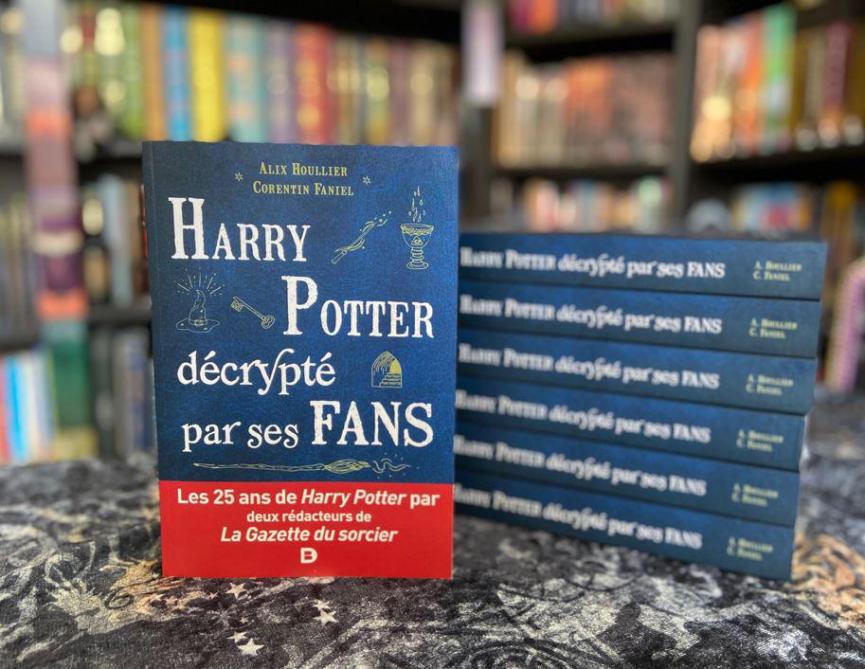 «Harry Potter décrypté par ses fans» est sorti chez Boeck Supérieur.