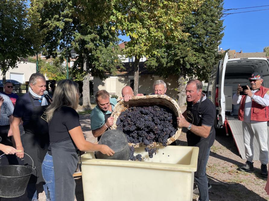 Weinberge - AGRICULTURE - VIGNES - LES VENDANGES - Retour des Vendanges