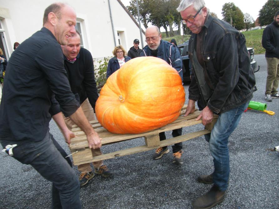 15 Plombs Tungstène Vert Citrouille 1/16 Once (1,8g) - Poids Pour Pêche En Eau Douce Et Mer