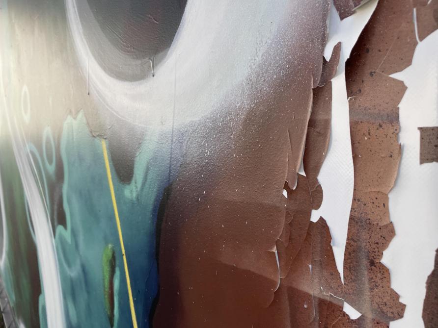 La fresque Talon, Burger King et le RN aux municipales dans les &eacute;chos de la semaine