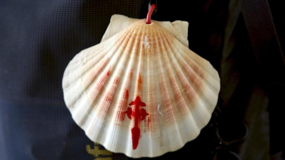 chemin-de-compostelle-pourquoi-les-coquilles-saint-jacques