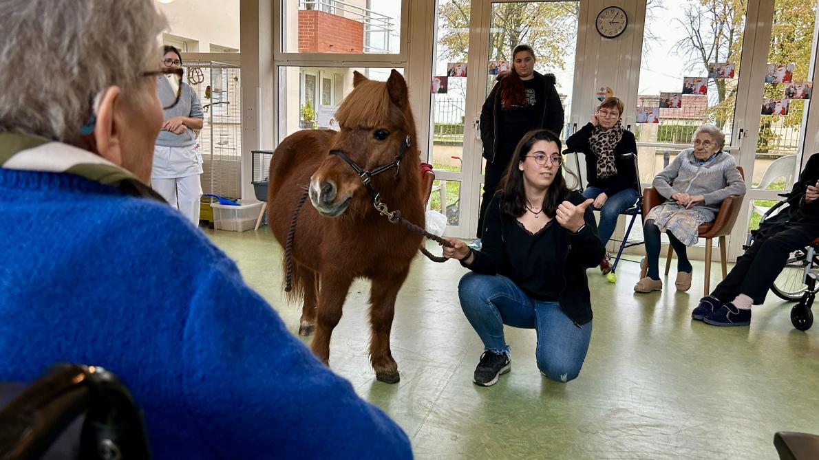 VIDEO. Un poney débarque à l’Ehpad près de Reims