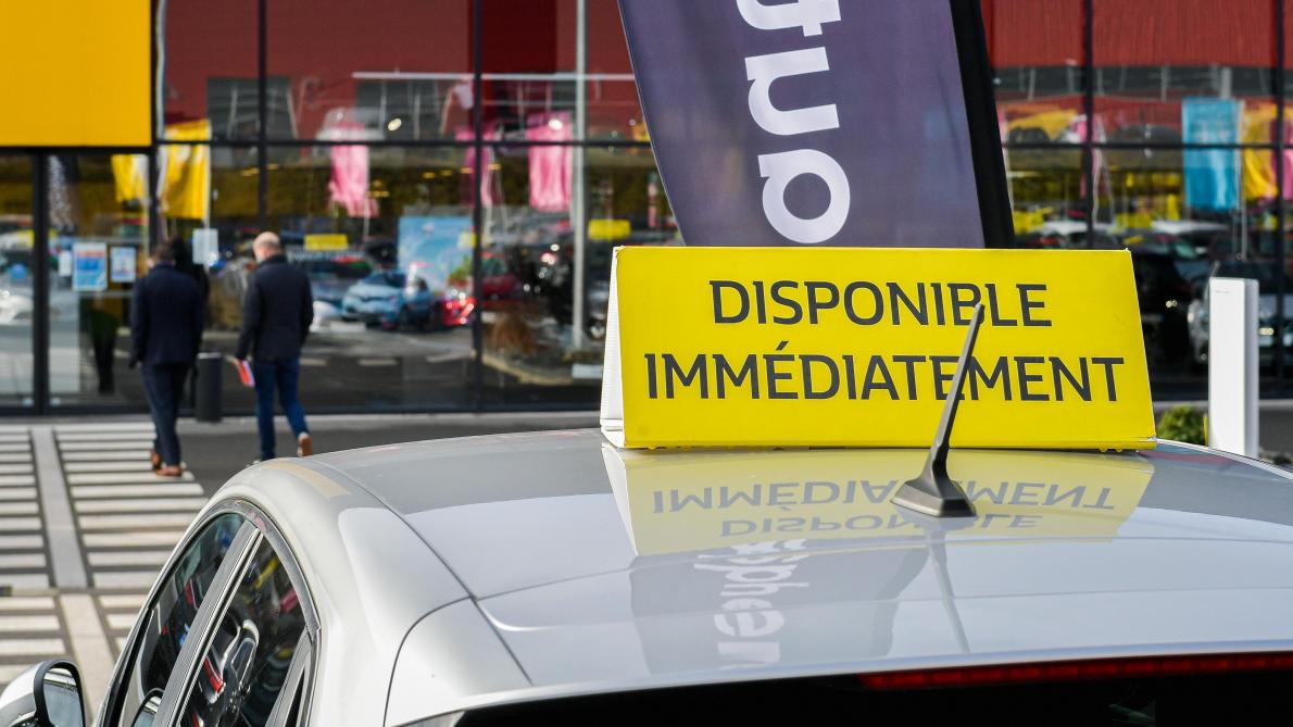 Hausse de la carte grise dans les Hauts-de-France : combien coûtera le cheval fiscal à partir du 1er mars 2025 ?