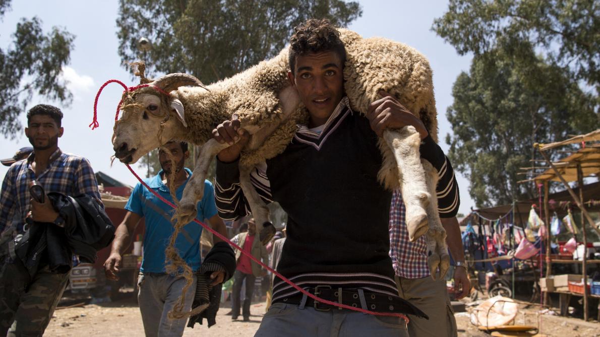 Aïd : le roi du Maroc appelle à ne pas sacrifier de mouton, le rite