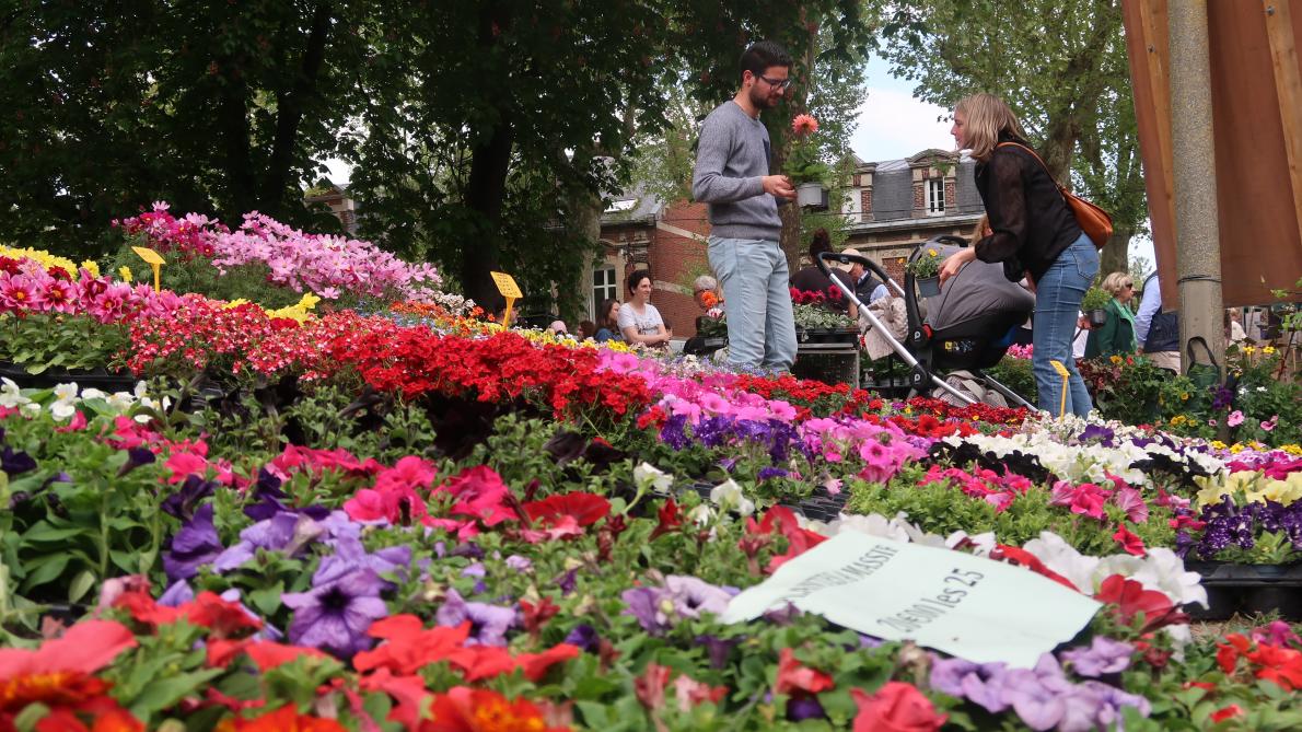 À la fête du jardin d’horticulture de Soissons, on tient compte du changement climatique dans le choix de ses fleurs