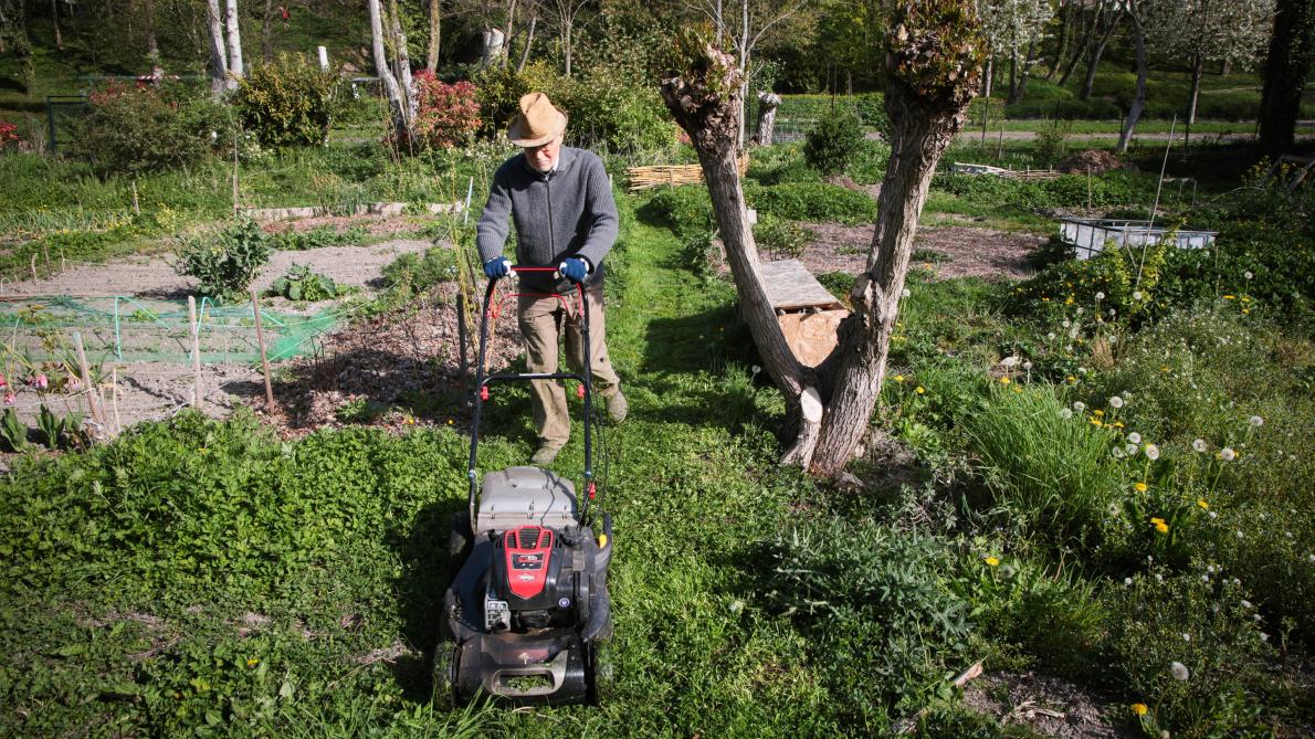 " Faire pousser soi-même, c’est économique, bon pour la santé et pour l’environnement " : à L’école des jardiniers près de Reims, on apprend à cultiver ses légumes