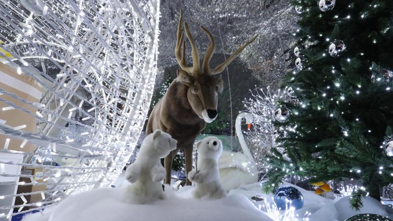 Troyes Un Village De Bulles Pour Les Fêtes De Noël