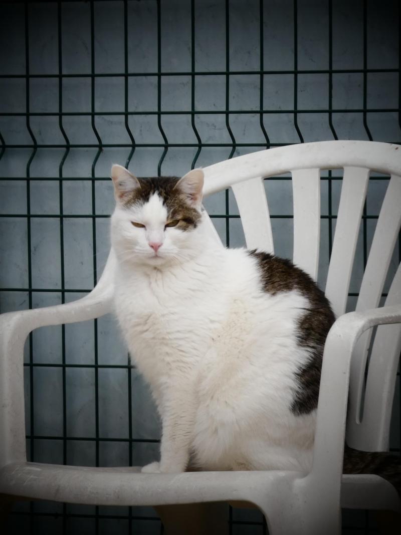 Jeunes serré adolescent chatte photos