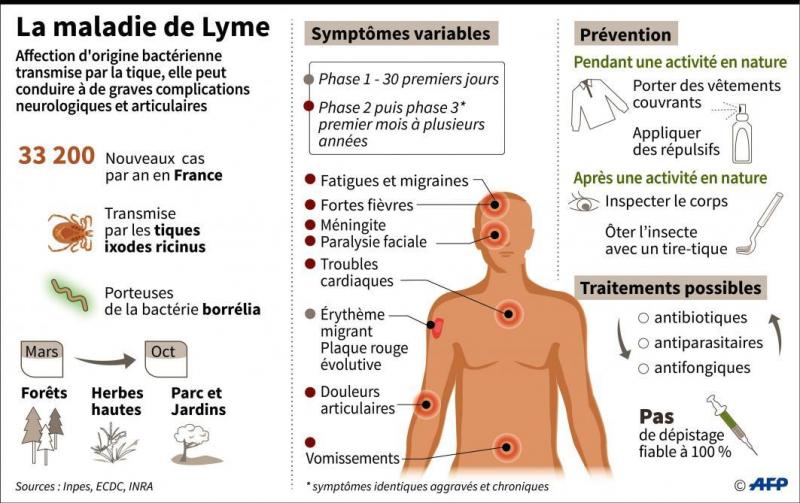 Les Nouvelles Recommandations Pour Lutter Contre La Maladie De Lyme Provoquent Des Polemiques