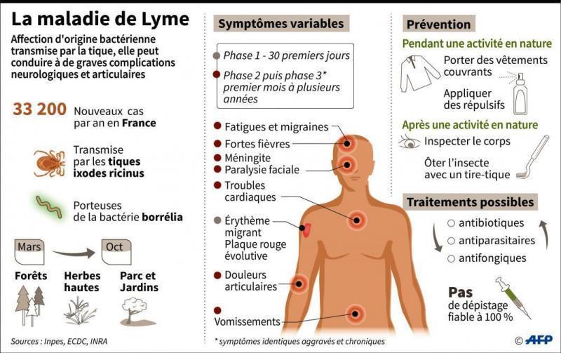 Maladie De Lyme Un Nombre De Cas Diagnostiques En Hausse