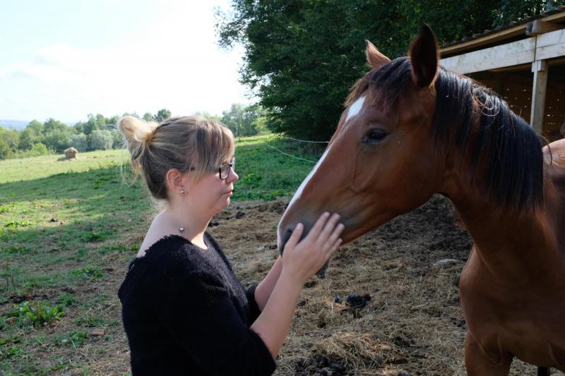 Dormir Dans Une Bulle Avec Les Chevaux A Etreaupont