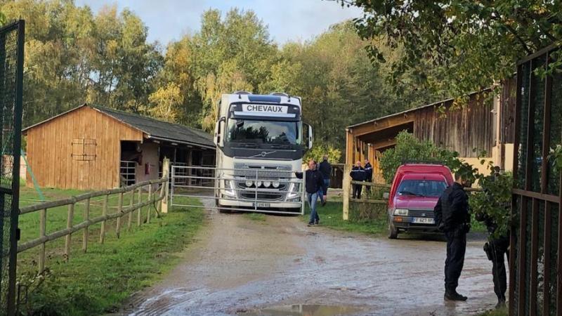 vanne pour cheval