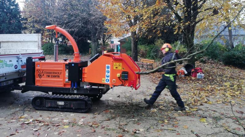 Photos Videos L Abattage Du Hetre Est En Route Au Jardin