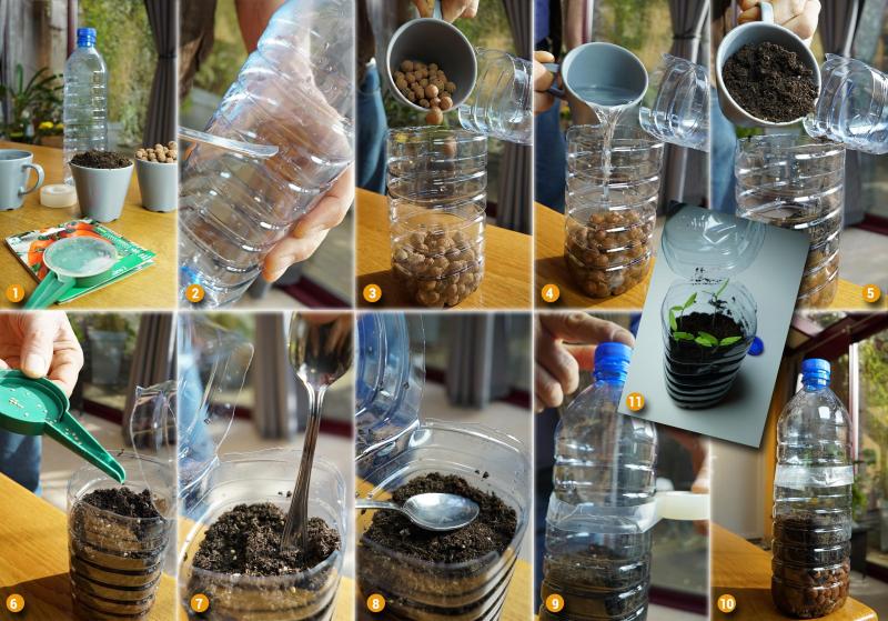 Semer des tomates à l’intérieur d’une bouteille