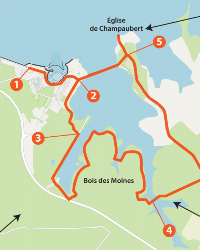 Randonnée Balade autour du lac du Der