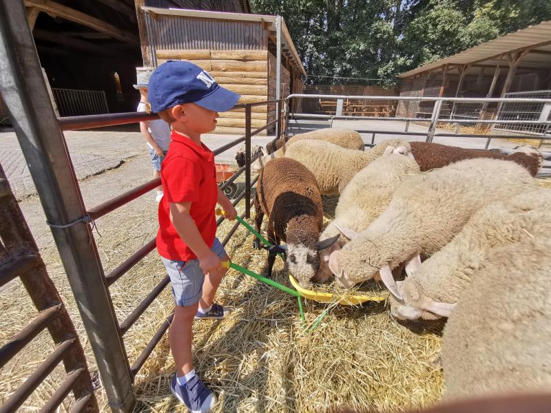 Les petits visiteurs participent à la vie de la ferme grâce à des outils qui leur sont réservés près des enclos.