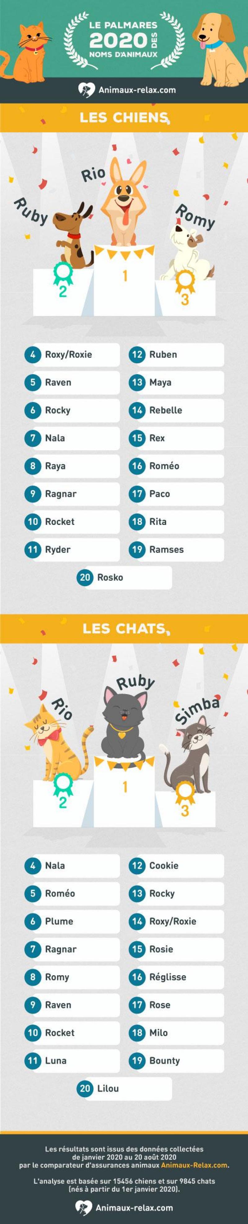 Quels Sont Les Noms Des Chiens Et Des Chats Les Plus Populaires En Quels Sont Les Noms Des Chiens Et Des Chats Les Plus Populaires En
