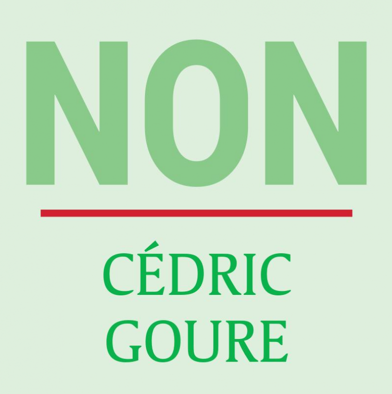 Ça fait débat à la rédac. Fallait-il autoriser le MMA en France? Ça fait débat à la rédac. Fallait-il autoriser le MMA en France?