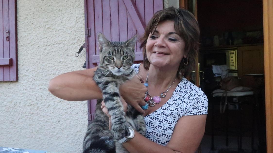 A Wissignicourt Des Chats En Danger Journal L Union