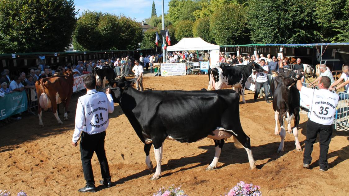 Fete De La Choucroute Brienne Le Chateau 2022