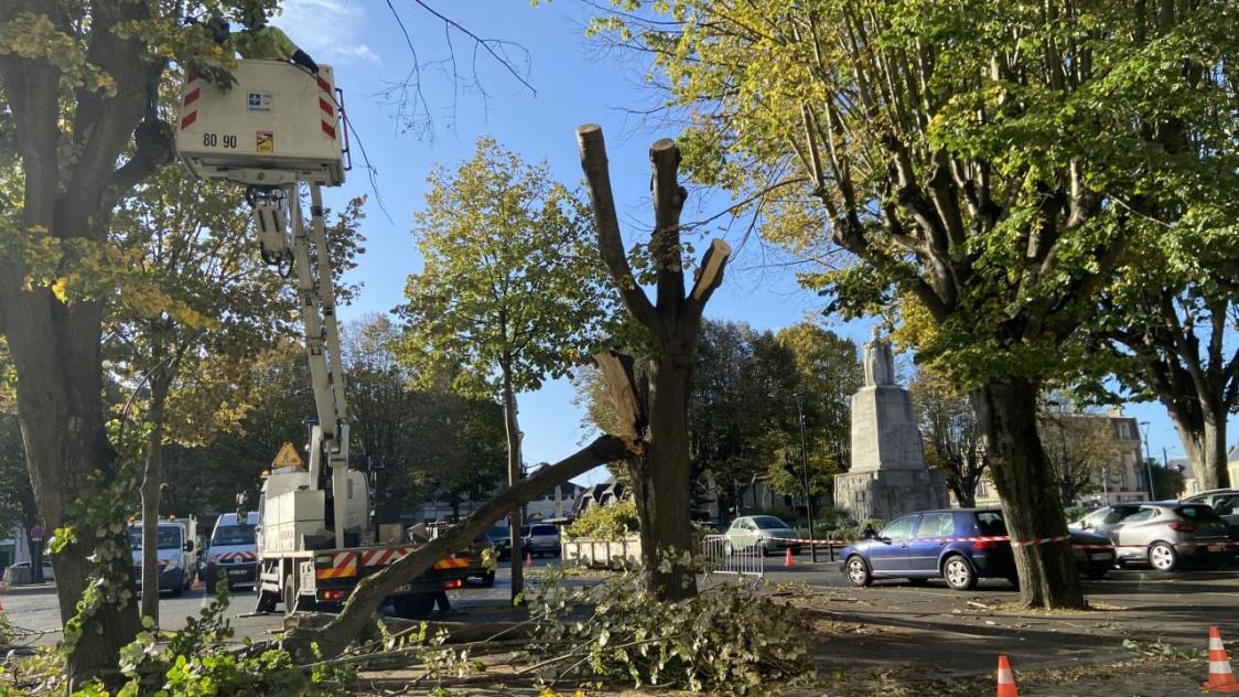 Un arbre de la place Marquigny, en centre-ville de Soissons, s’est fendu, faisait risquer pour la sécurité des automobilistes et des piétons. Des agents intervenaient ce jeudi matin pour couper les branches abîmées.